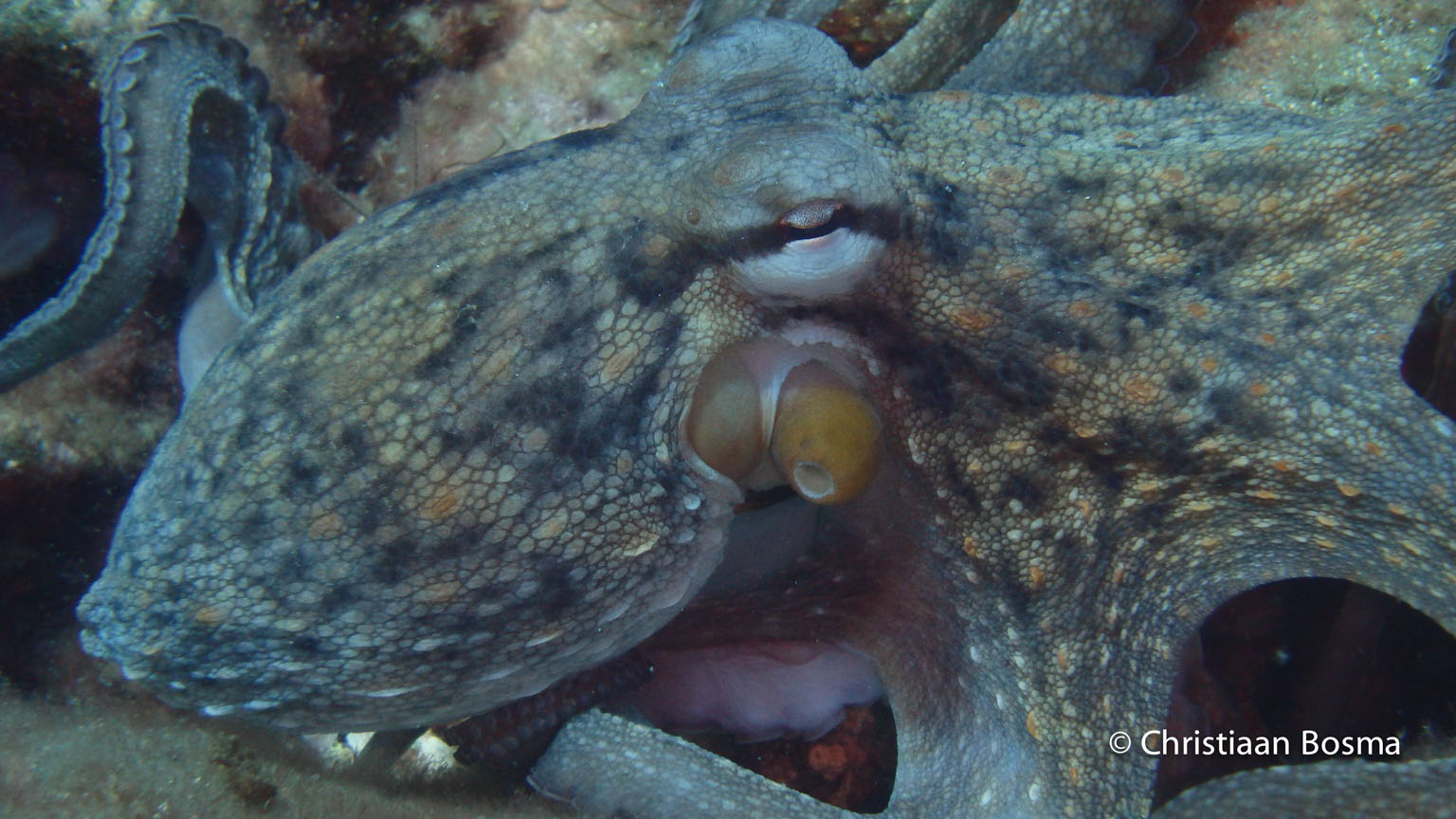 Een close-up van zijn gezicht.
